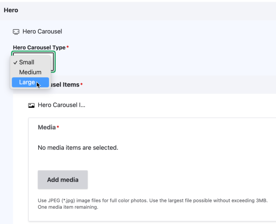 Hero Carousel Drop down is open and shows Small, Medium and Large option.
